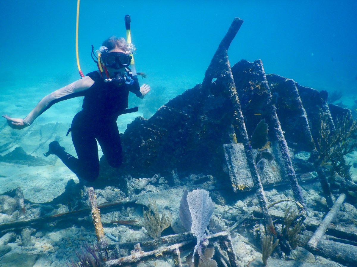 The Wreck of the&nbsp;Mandalay