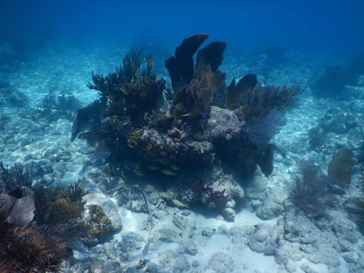 Fowey Rocks and&nbsp;Stiltsville