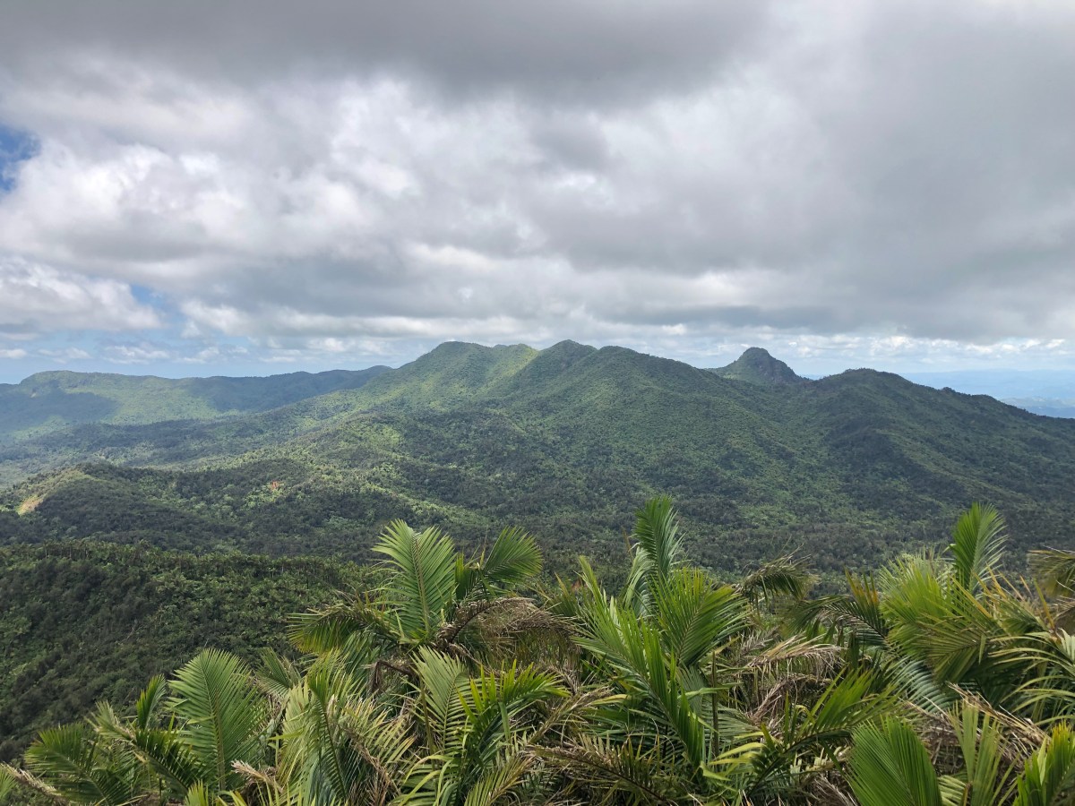 Puerto Rico, part 5b- El Yunque National&nbsp;Forest