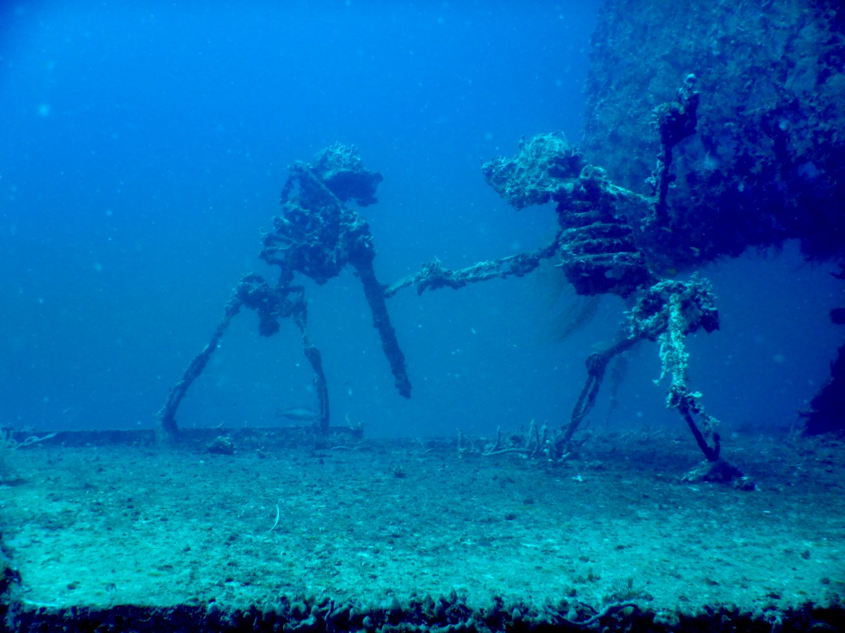 The Wreck of the Willy&nbsp;T2