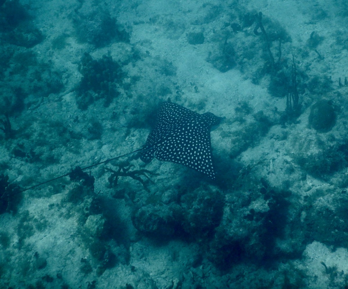 While we were&nbsp;waiting…