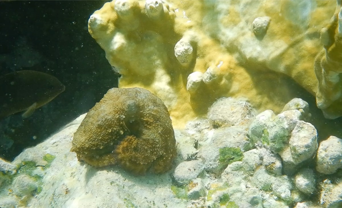 Riding out big winds in the&nbsp;BVI